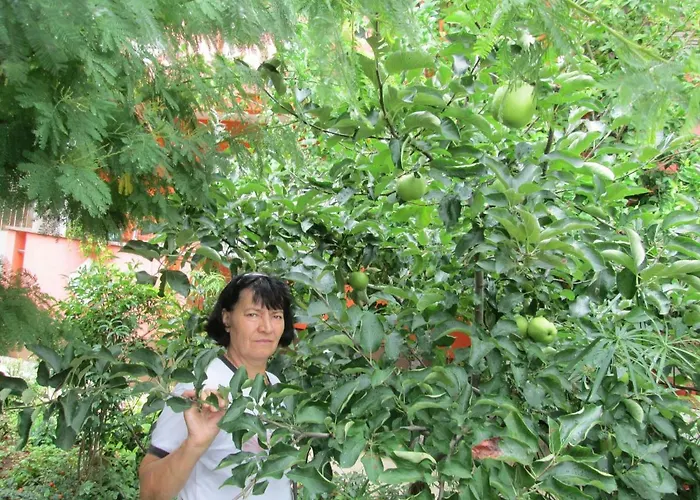 Nada 게스트하우스