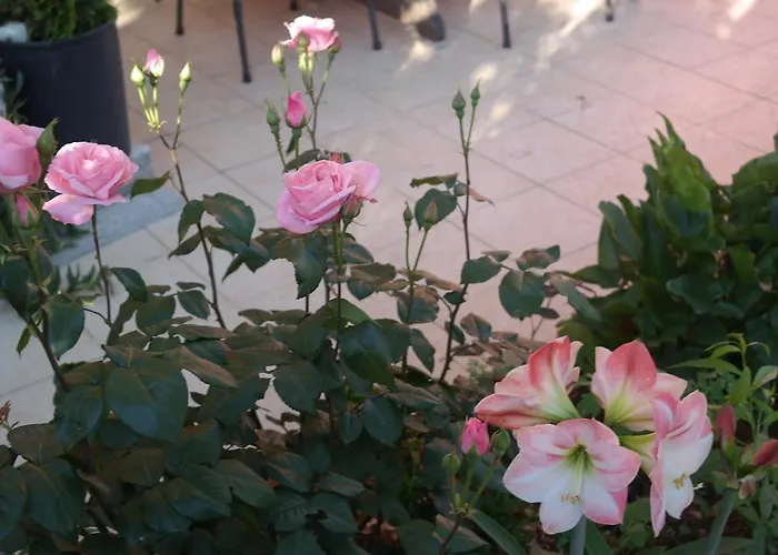 Nada 게스트하우스 3*